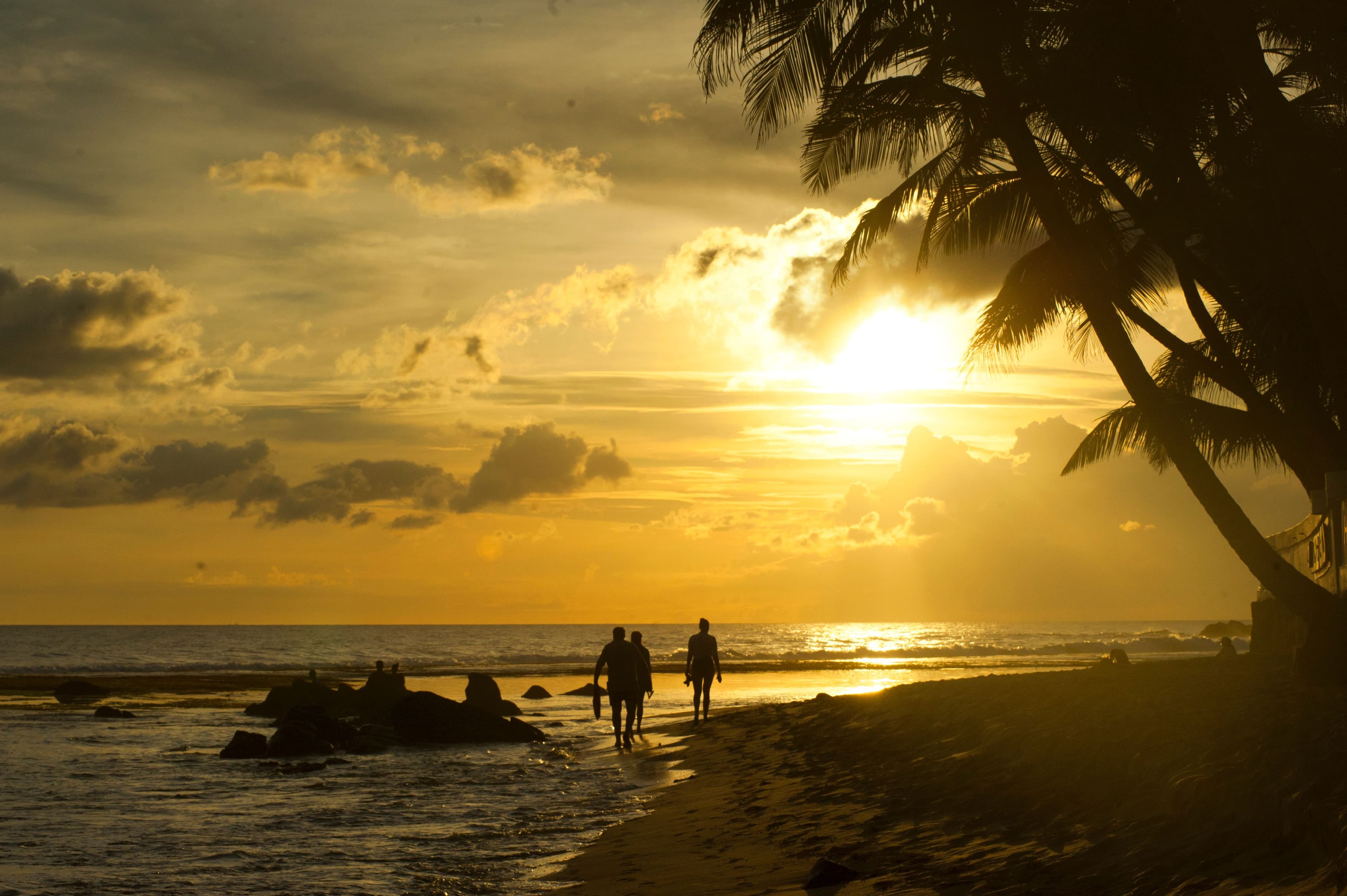 10 Essential Tips for First-Time Visitors to Sri Lanka